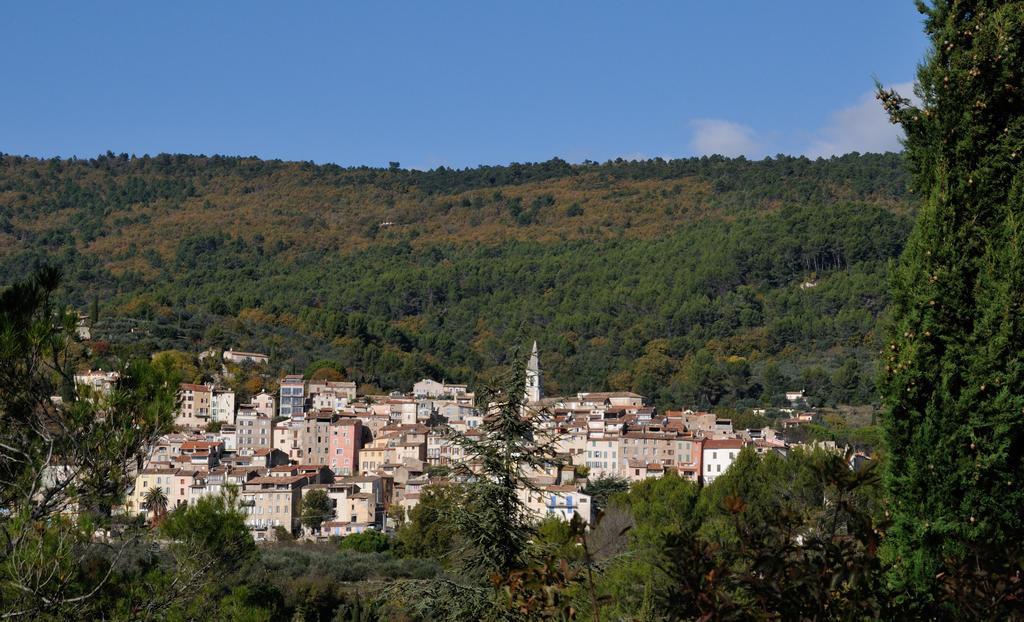 Les Lauriers Blancs Villa Callas Bagian luar foto